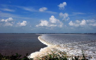 關(guān)于錢(qián)塘江的詩(shī)句弄潮兒