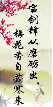 經(jīng)典勵(lì)志古詩句格言