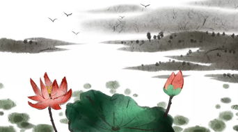 古詩(shī),詩(shī)句