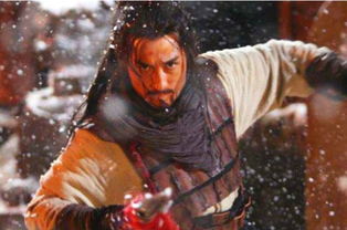 關(guān)于林沖的短詩句