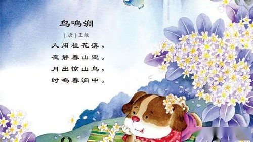 形容知書達(dá)理的詩(shī)句,女子知書達(dá)理的詩(shī)句,贊美女人知書達(dá)理的詩(shī)句