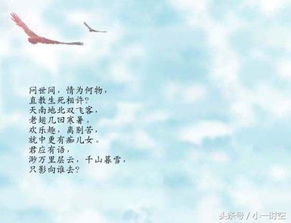 戀愛的古詩句子唯美