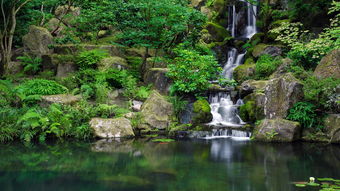 關(guān)于山澗泉水的詩句