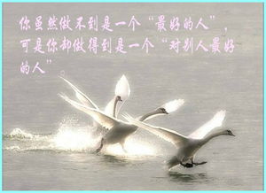 關(guān)于父母愛的古詩句子