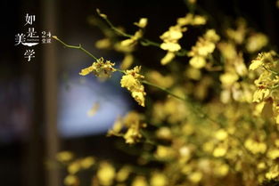 關(guān)于人與植物的詩(shī)句有哪些