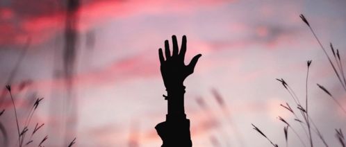 表現(xiàn)無(wú)怨無(wú)悔的古詩(shī)句