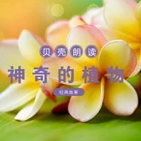 關(guān)于植物的再吵詩句