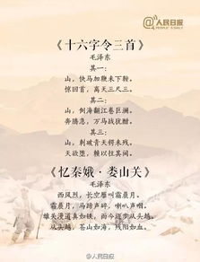 關(guān)于長(zhǎng)征的詩(shī)句和意思是什么意思