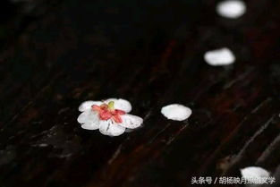 關(guān)于痛的詩句等