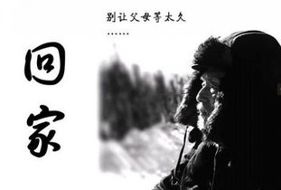 關于回家過節(jié)的詩句