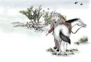 詩句,眼睛,保護(hù)