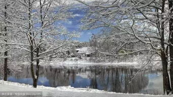 關(guān)于冬天家詩句有哪些