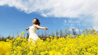 關(guān)于明月抒情的詩(shī)句是