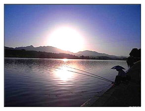 關(guān)于月明夜晚詩(shī)句