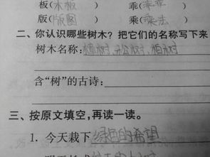 古詩中含樹的詩句有哪些