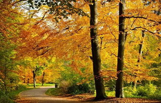 二十個關于秋天古詩句