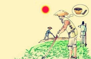 關(guān)于農(nóng)民生活的詩(shī)句