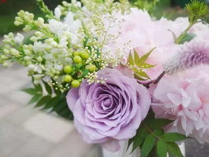 關(guān)于養(yǎng)花修行的詩句