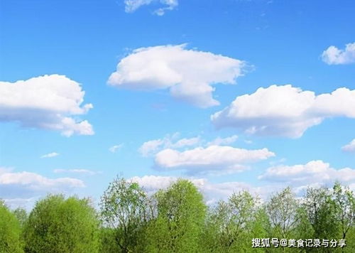 關(guān)于風(fēng)景的開頭詩句