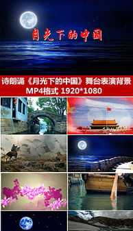 關(guān)于明月當空時的詩句