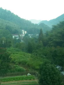 關于初陽的詩句