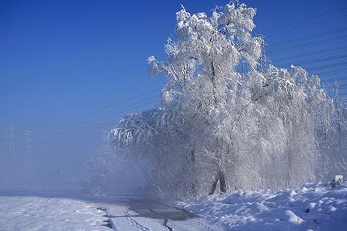 有關冬天的詩句古詩大全