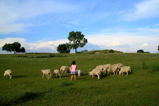 關(guān)于牧羊姑娘的詩(shī)句