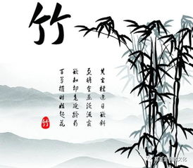 有竹字的詩句古詩詞