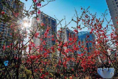 關(guān)于錦繡山河詩句