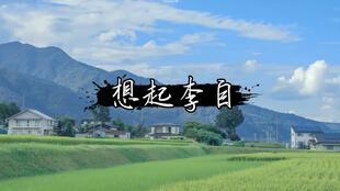 關于桑的詩句古詩