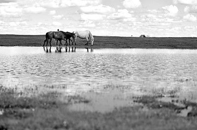 關(guān)于西部景色的詩句