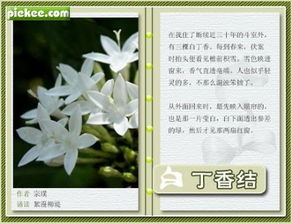 丁香結(jié)古詩句