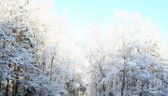 關于冬天的英語的詩句