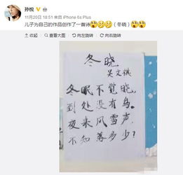 關(guān)于贊美孩子寫字認真的詩句