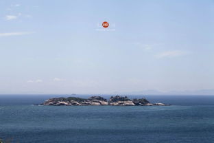 關(guān)于libai生命的古詩(shī)句