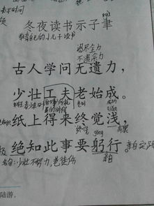 包含成語的古詩句有哪些,帶有成語的古詩句,含有成語的古詩句100句
