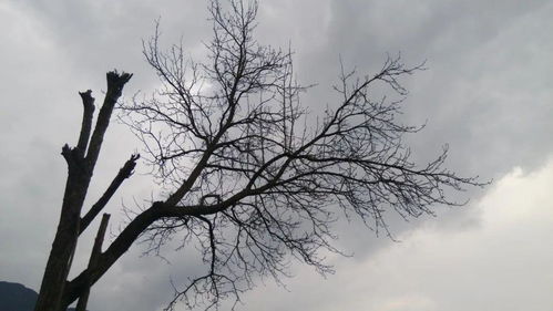 冬天暖和的詩(shī)句古詩(shī)