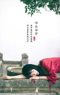 苦學(xué),詩(shī)句,激勵(lì)