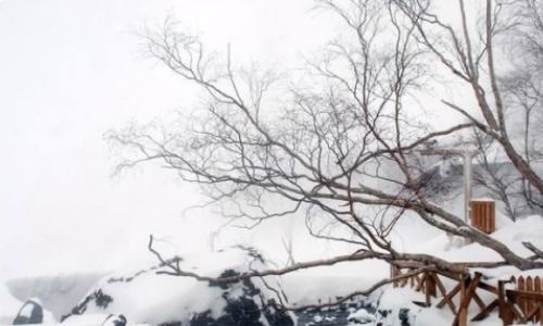 夏天贊美雪的詩(shī)句古詩(shī)