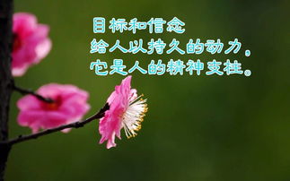 陽光向上的古詩簡短,古詩勵志的句子致自己簡短,古詩座右銘勵志簡短