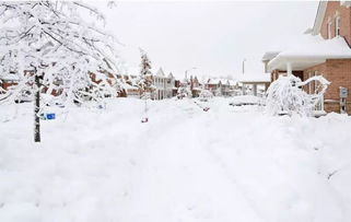 冬下雪愛情古詩句