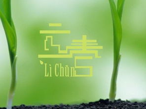 描寫(xiě)立春的詩(shī)句古詩(shī)