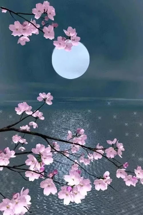 關(guān)于但愿人長久的詩句