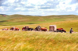 古詩,秋日,詩句,草原