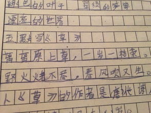 反義詞的古詩句