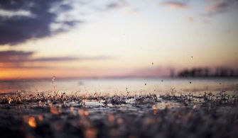 詩句,景色,唯美