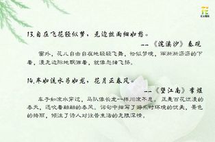 古詩中運用比喻的詩句是