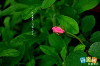 描寫雨景的古詩句合集