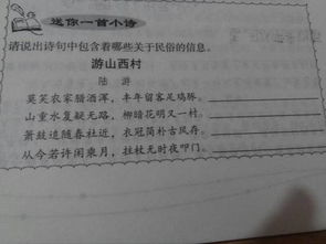 關(guān)于信息的詩(shī)句有哪些