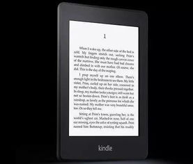 國(guó)美kindle關(guān)于洛陽的詩句